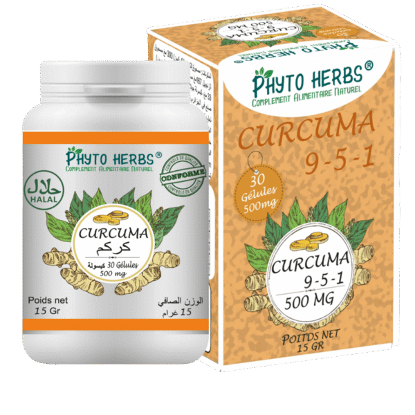 PHYTO HERBS CURCUMA GINGEMBRE GELULE B/30
