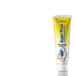 NOYE NOYBO CREME DERMIQUE 15G .